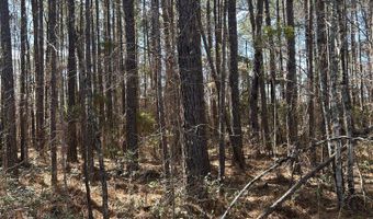 0 Mail Route Rd, Bonneau, SC 29431