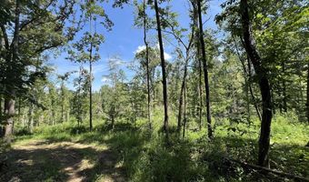 3708 E New Roe Rd, Adolphus, KY 42120