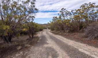 59481 Burnt Valley Rd, Anza, CA 92539
