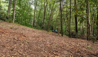 1034 Chestnut Flats Rd, Andrews, NC 28901