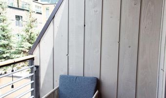 210 E, Aspen, CO 81611
