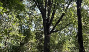 0 CR 4236, De Kalb, TX 75559