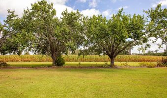 596 Teakwood Rd, Alma, GA 31510