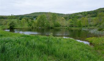 2400 Gladstone Hollow Rd, Andes, NY 13731