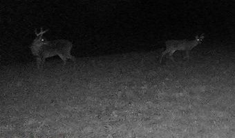 Henderson Rd, Batesville, MS 38606