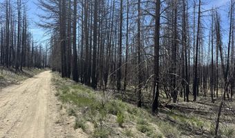 Off Hicks Road Lot 3, Bly, OR 97622