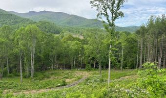 Pumpkin Patch Road, Bakersville, NC 28705