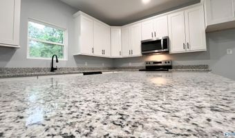 476 NE 2nd St, Arab, AL 35016