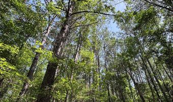 North Palestine Road, Baldwyn, MS 38824