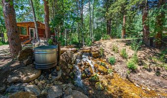 993 Highway 7 Business, Allenspark, CO 80510