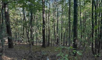 1028 Goddard Rd, Bear Creek, AL 35543