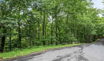 VALLEY VIEW ROAD, Basye, VA 22810