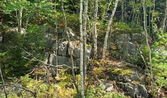 Lot 13-1 W. McMann & Meadow Roads, Addison, ME 04606