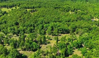 210 County Road 320, Alton, MO 65606