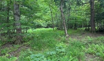 360 Ives Hill Rd, Afton, NY 13730