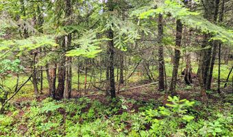 13727 Big Hawk Dr, Bigfork, MT 59911