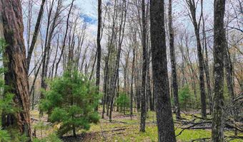 1120 Bighorn Dr, Arkdale, WI 54613