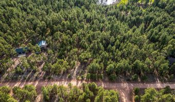 15 Co Rd 2083, Alpine, AZ 85920