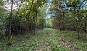 Tract 8 Highway 70, Bennington, OK 74723