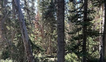 W Hunter Ridge Dr, Brian Head, UT 84719