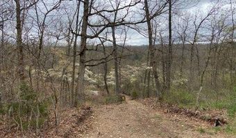 Lot 13 Lookout Point, Bruner, MO 65620