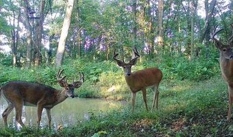 Simons Rd, Alma, WI 54610