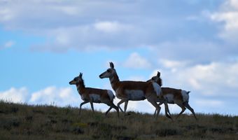 Sheep Mountain Road, Centennial, WY 82055