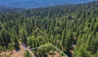 2690 Cheyenne Way, Arnold, CA 95223