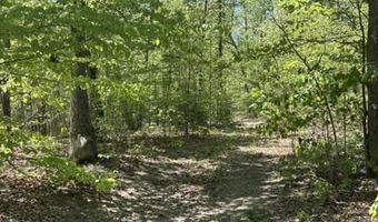 Davis Lane, Aroda, VA 22709