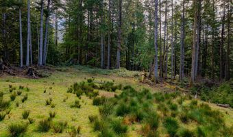 Wildwood Ln 2904, Arch Cape, OR 97102
