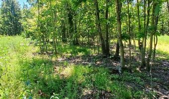 0000000 Easement, Annapolis, MO 63620