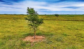 17616 N Private Road 2220, Abernathy, TX 79311