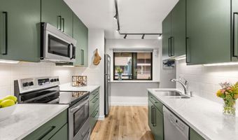 941 Vine St, Aspen, CO 81611