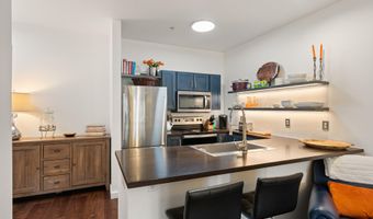 1400 E Valley Rd 110, Basalt, CO 81621