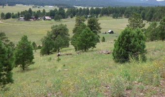 Lot 25a The Ranch At Alpine, Alpine, AZ 85920