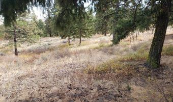 NNA Miracle Road 11.42 Acre Parcel, Waterville, WA 98858