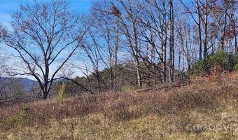 1 Gaylors Br 1, Balsam Grove, NC 28708