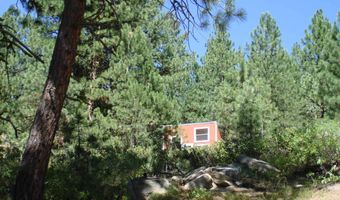 464 Collier View Rd, Cascade, ID 83611