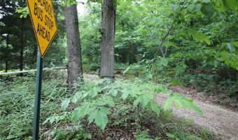 3751 CR 1313 County Road 1313 Crane Lake Rd, Arcadia, MO 63621