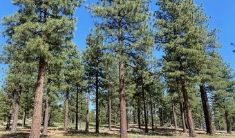 3541 Golf Club Dr 1, Carson City, NV 89705