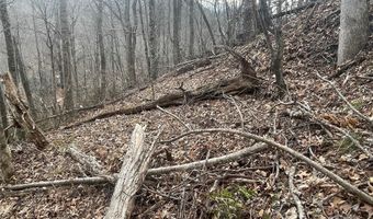 Martins Creek Road, Barnardsville, NC 28709