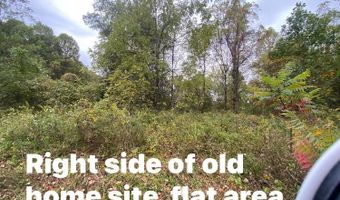 Bandy Rd / Whitaker Ridge Area, Bandy, VA 24602