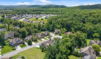 4217 Cripple Bush Ct, Apison, TN 37302
