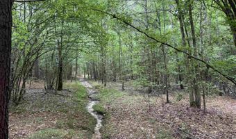 mt Olive Road, Arkadelphia, AR 71923