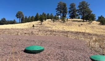 6 County Road 2331, Alpine, AZ 85920