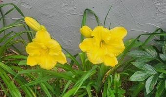 1019 Ash St, Alexandria, MN 56308