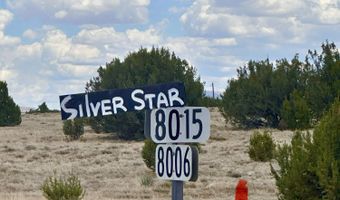 52 County Road 8010, Concho, AZ 85924