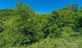 455 Shawnee Rd, Banner Elk, NC 28604
