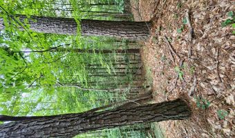 Tbd Bahalia Rd, Brookhaven, MS 39601