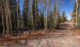 271 E Deer Trl, Brian Head, UT 84719